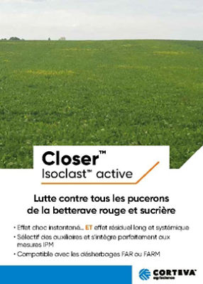 Closer en betteraves 2021 front